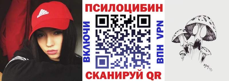 сколько стоит  Александров  даркнет Telegram  Галлюциногенные грибы GOLDEN TEACHER 