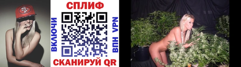 blacksprut маркетплейс Александров Конопля AK-47